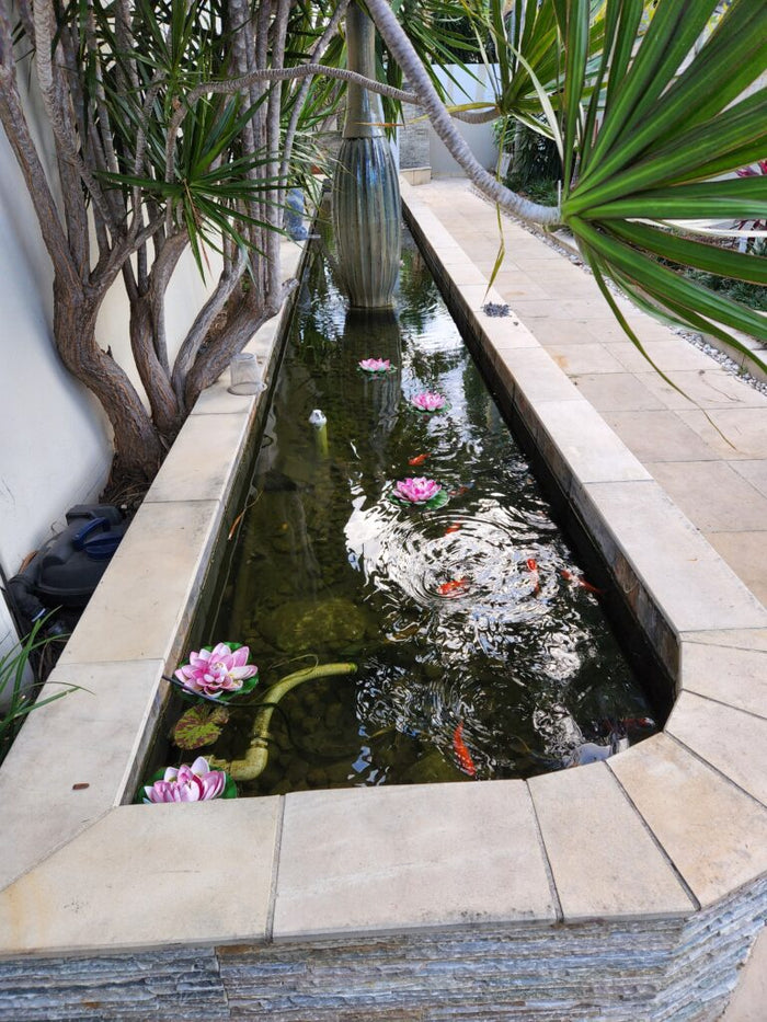 Pond Project Right