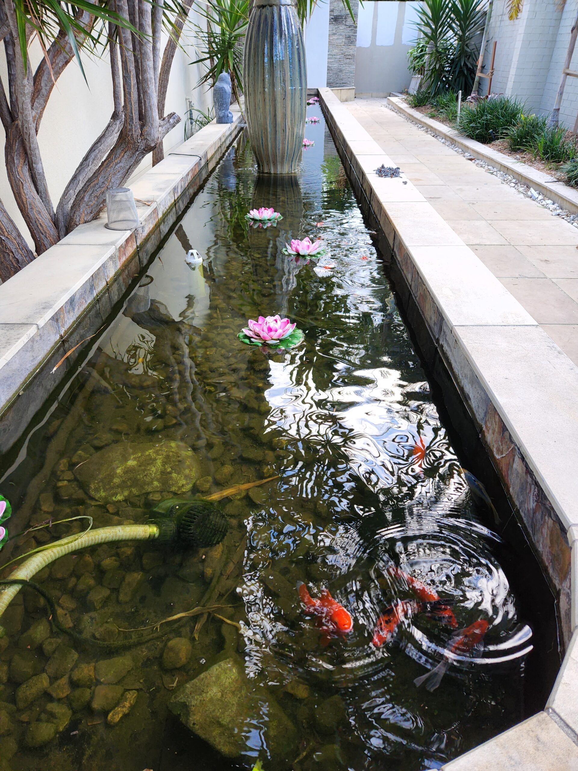 Ponds/Water Features